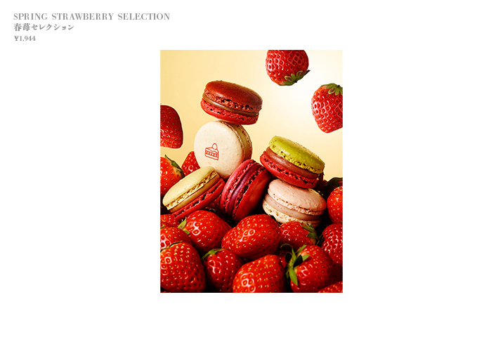 SPRING STRAWBERRY SELECTION 春苺セレクション