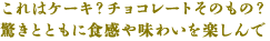 これはケーキ？チョコレートそのもの？驚きとともに食感や味わいを楽しんで